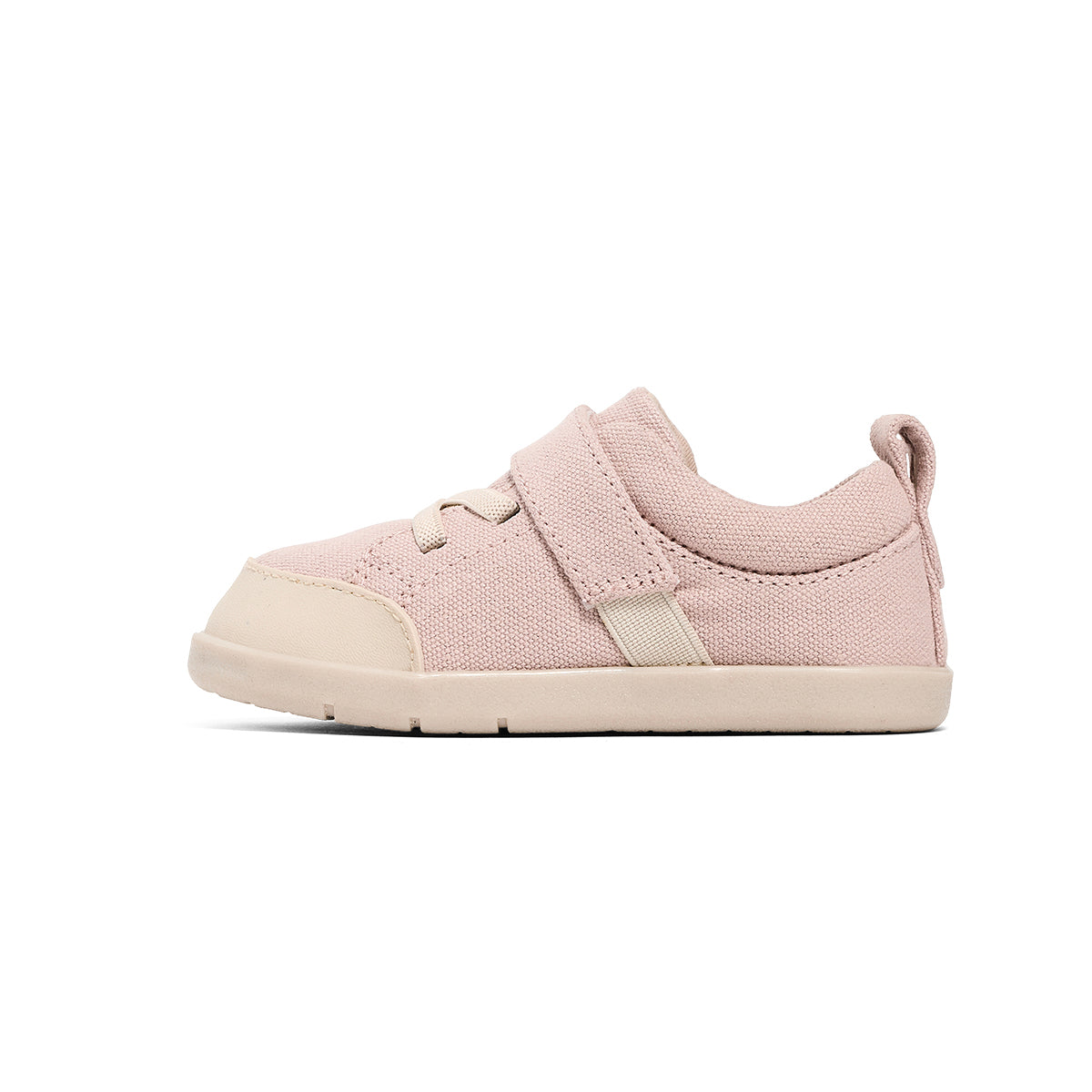 Blush Boston Canvas