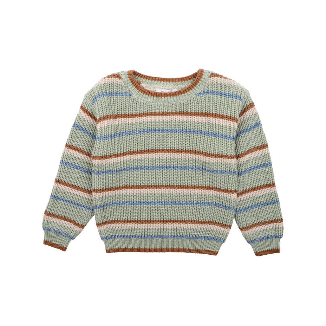 Bug Stripe Knitted Jumper