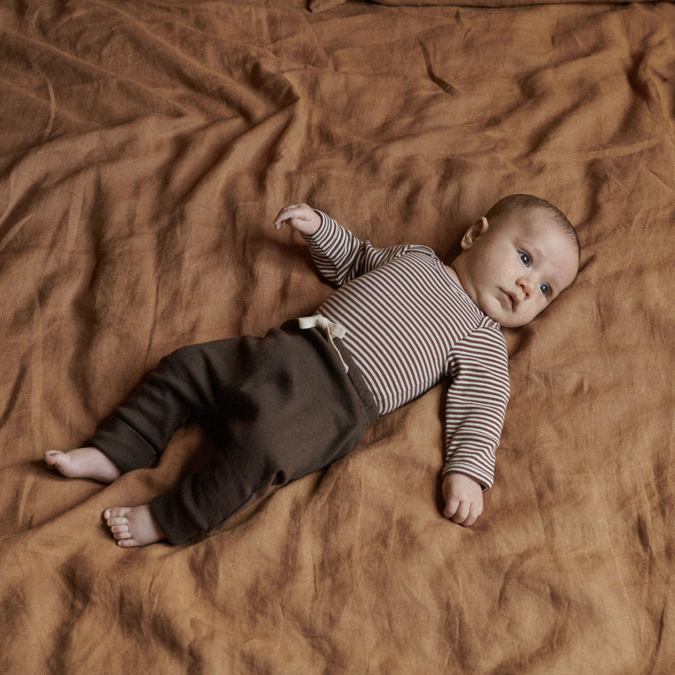 Long Sleeve Bodysuit- Pinecone Stripe