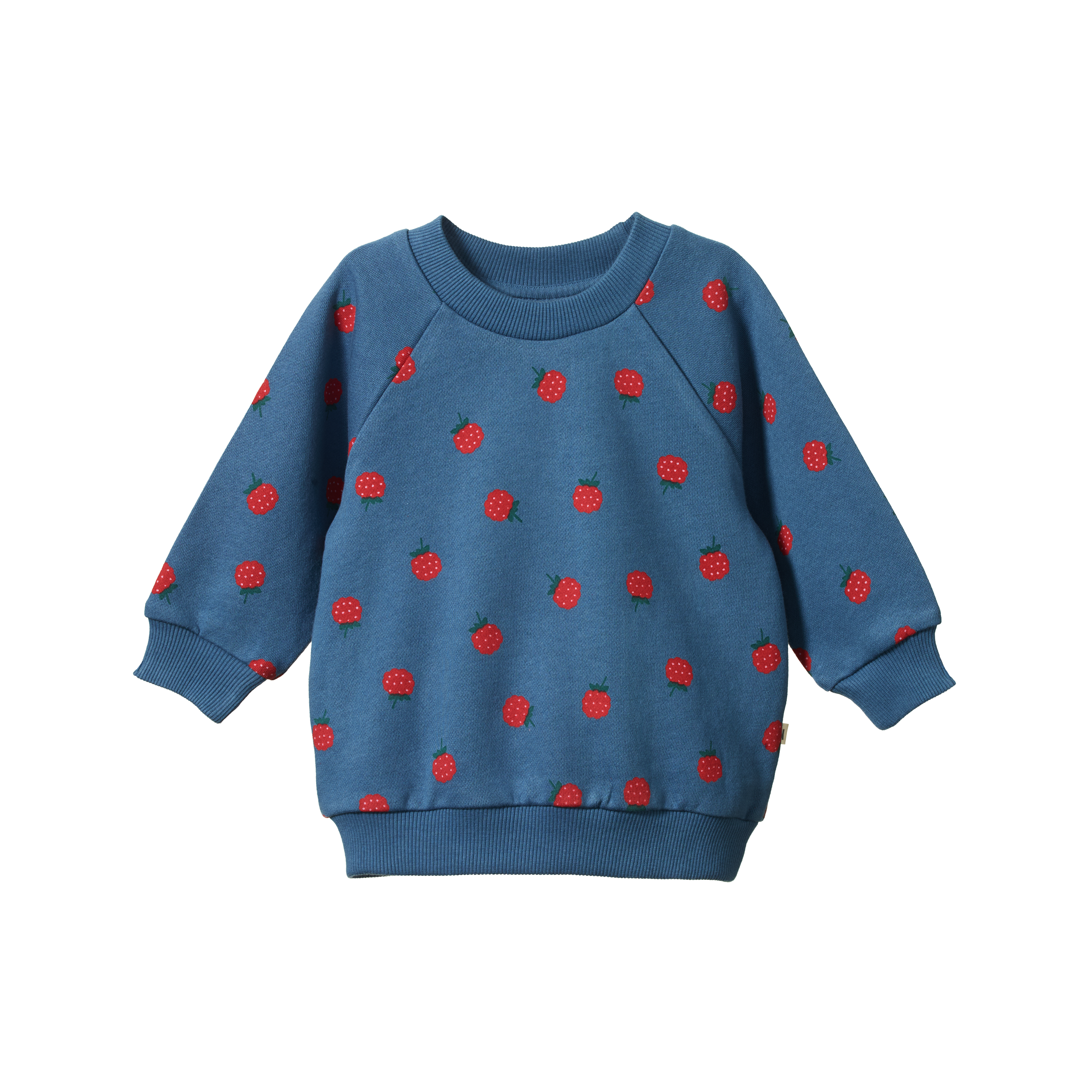 Raspberry Blue Print Emerson Sweater