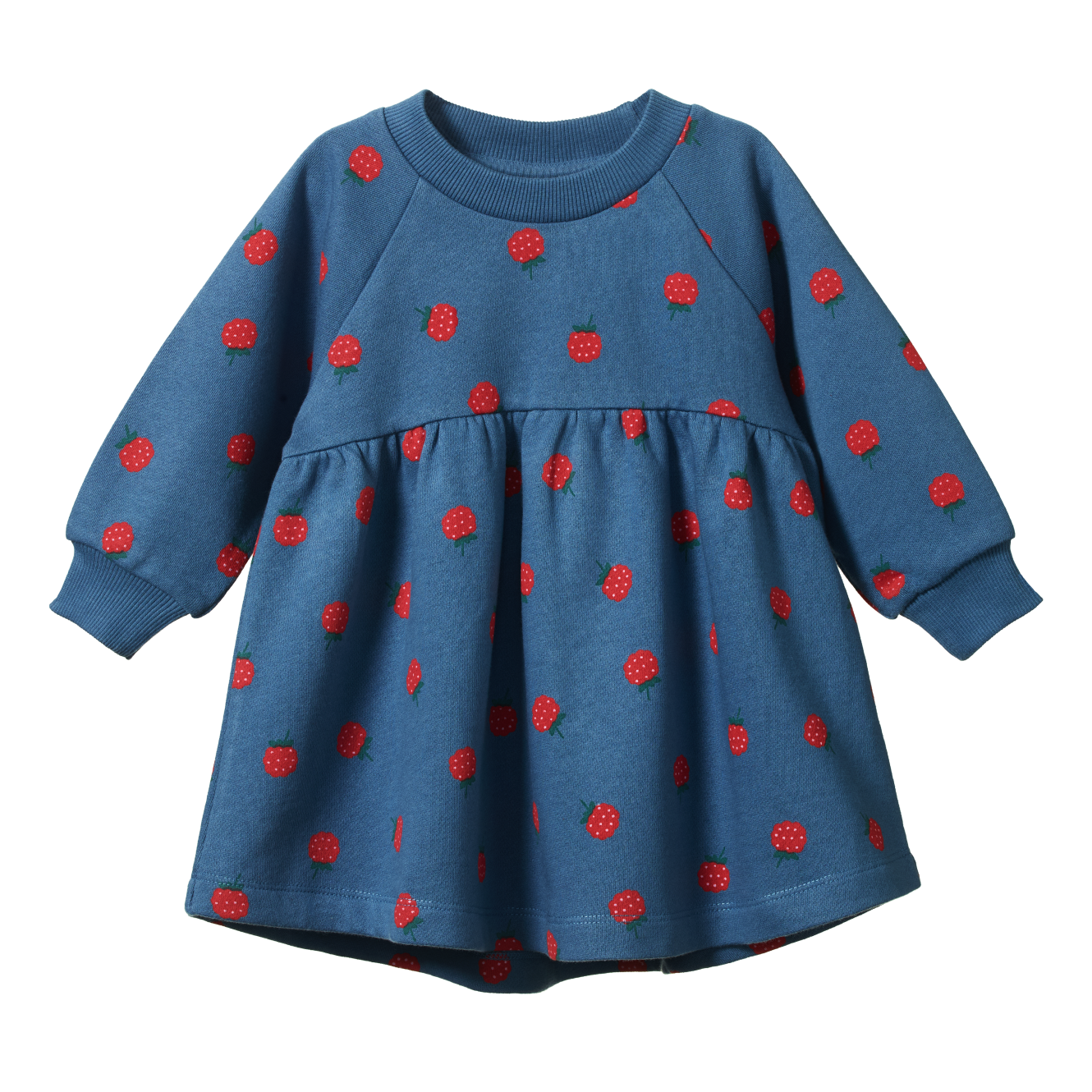 Raspberry Blue Print Ines Dress