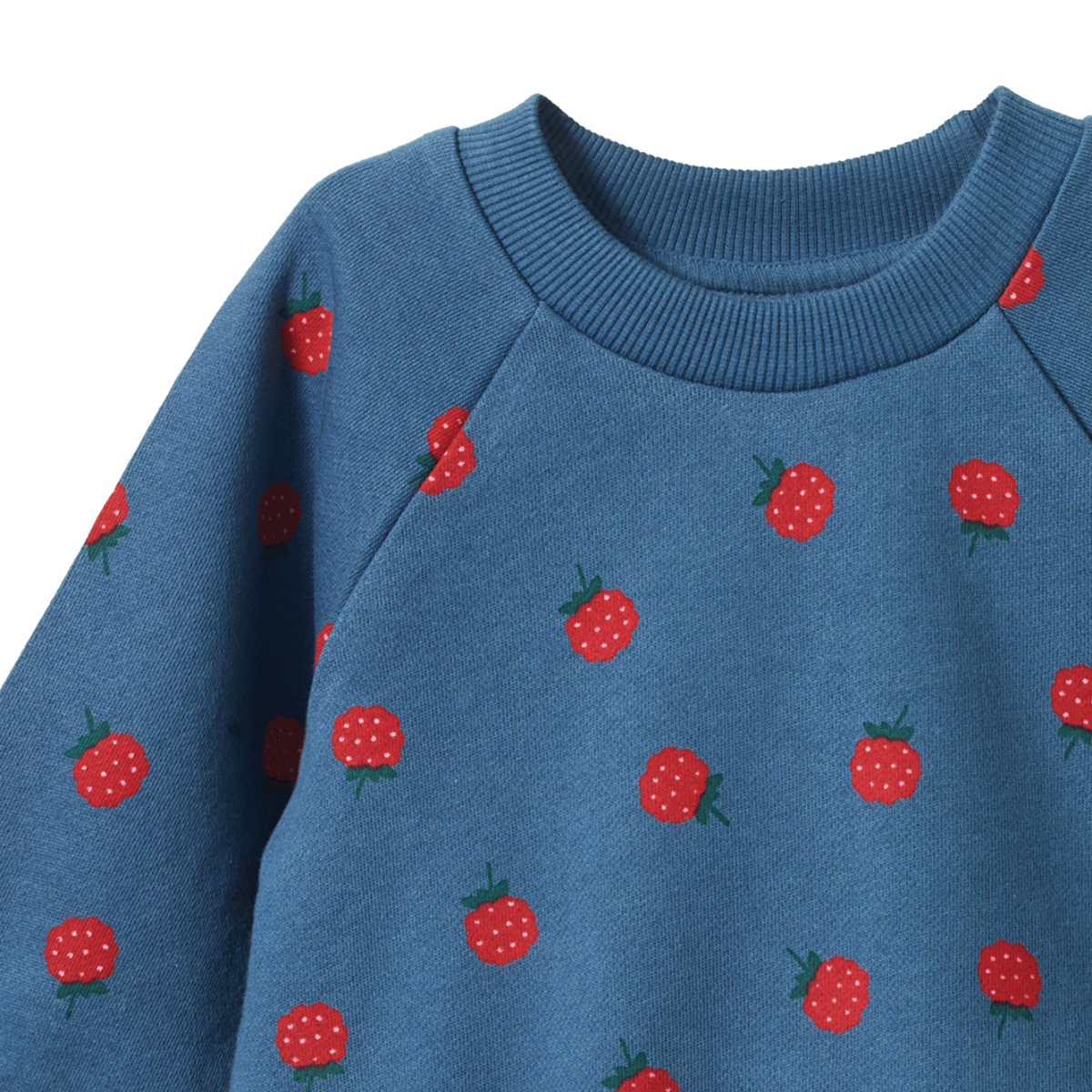 Raspberry Blue Print Emerson Sweater