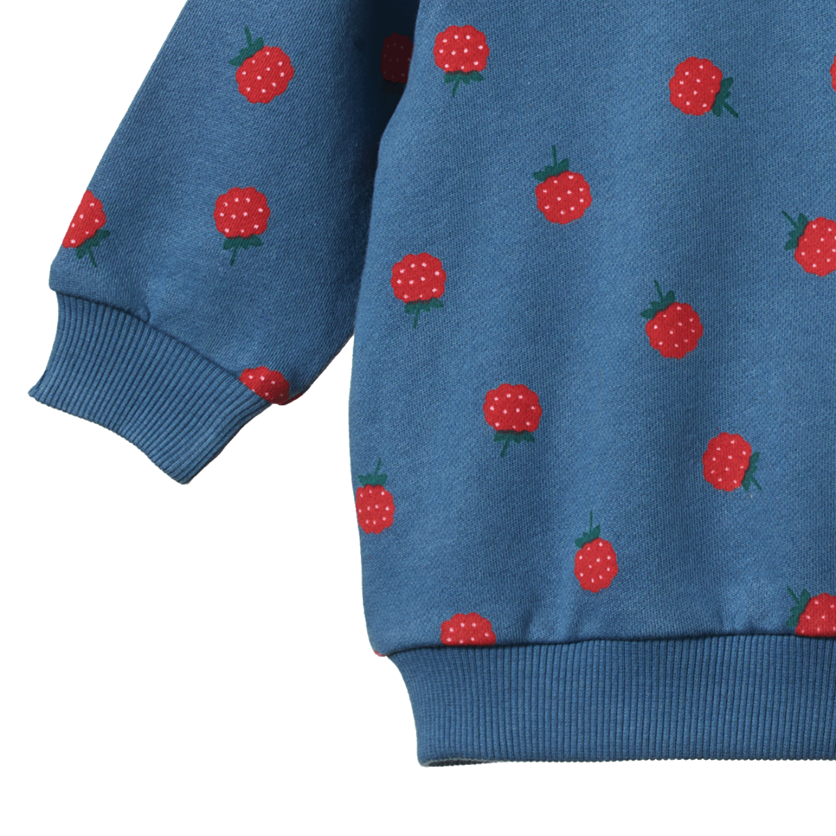 Raspberry Blue Print Emerson Sweater